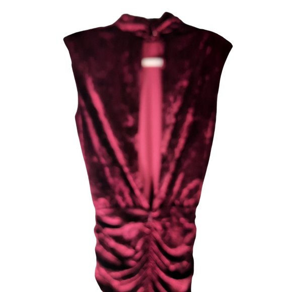 Ronny Kobo Burgundy Sleeveless Mini Dress - Picture 2 of 11